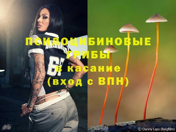 гидра Зерноград